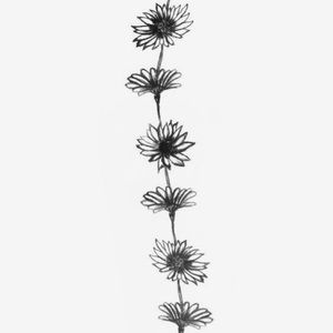 Meet your Posher, Jolie